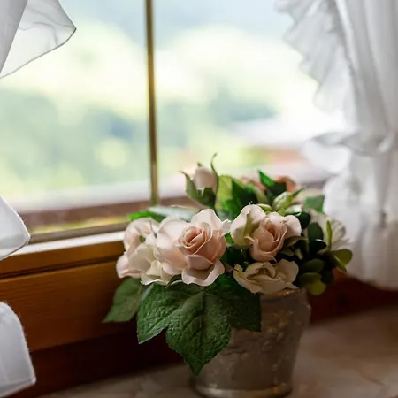 Beate * Hirschegg (Vorarlberg)